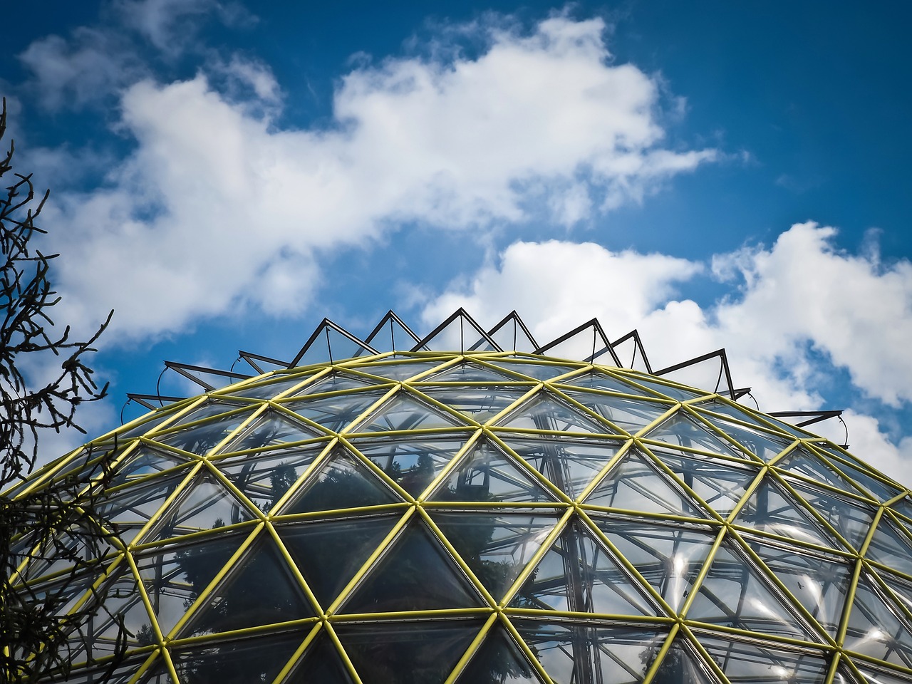 How to Set Up a DIY Greenhouse for Winter Vegetables